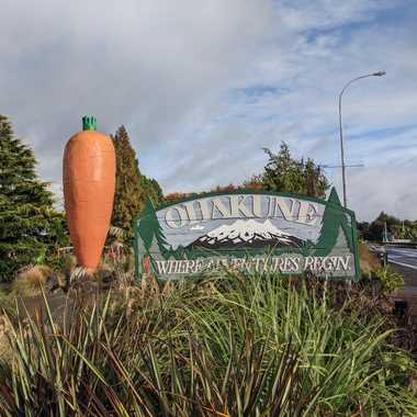 Ohakune Carrot