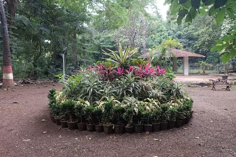Empress Botanical Garden