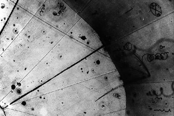 First observation of neutrinos, which may also be Majorana fermions.