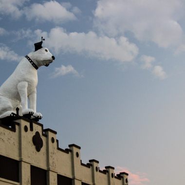 Nipper looks out over the Warehouse District on a clear February day.