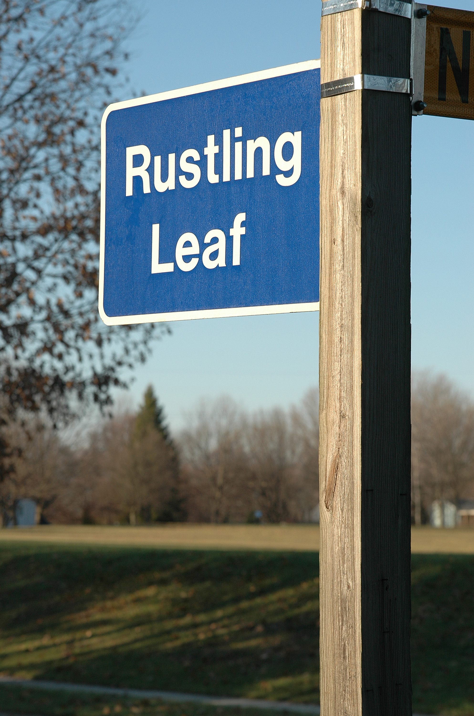 The Columbia Maryland Archives has built a searchable online database of the origins of many of the city's street names. "Rustling Leaf" comes from poet Vachel Lindsay: "Her step was like a rustling leaf: / Her heart a nest, untouched of grief."