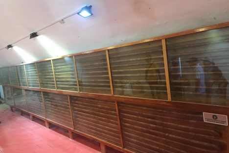 Cigar exhibit room.
