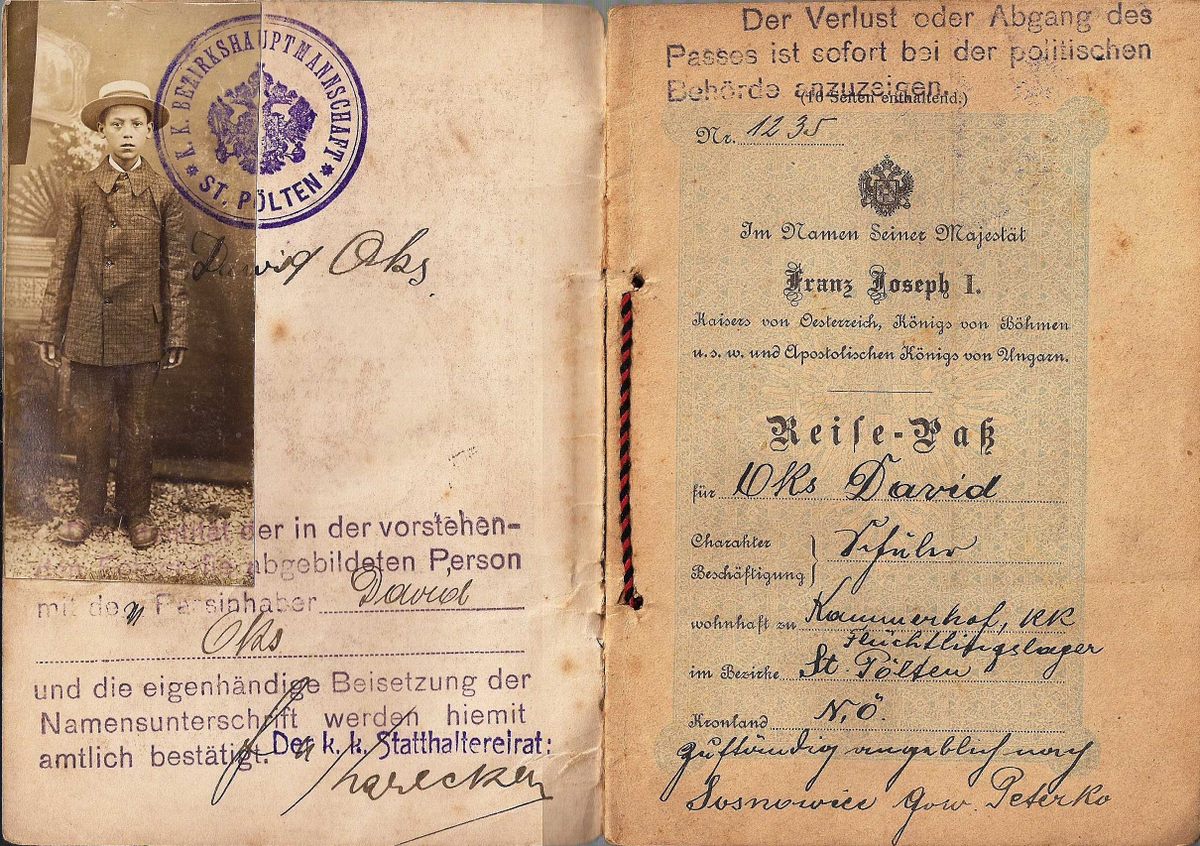 This 1916 travel document belonged to a young Jewish refugee, shown in a "portrait-style" passport photo.