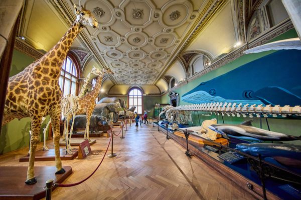Naturhistorisches Museum
