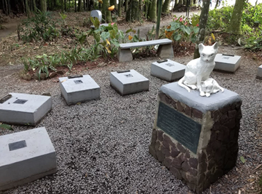 Edith Cemetery Edith Gaertner Cat Cemetery in Blumenau
