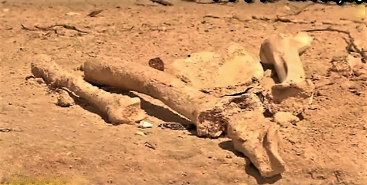 Remains uncovered at Raisins Clairs Beach.