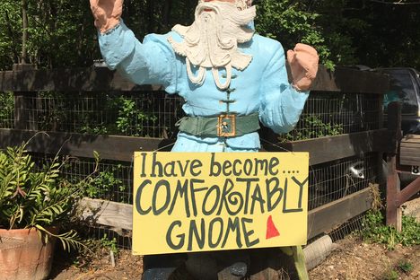 The Gnome gnows!!