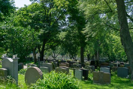 Notre-Dame-des-Neiges Cemetery