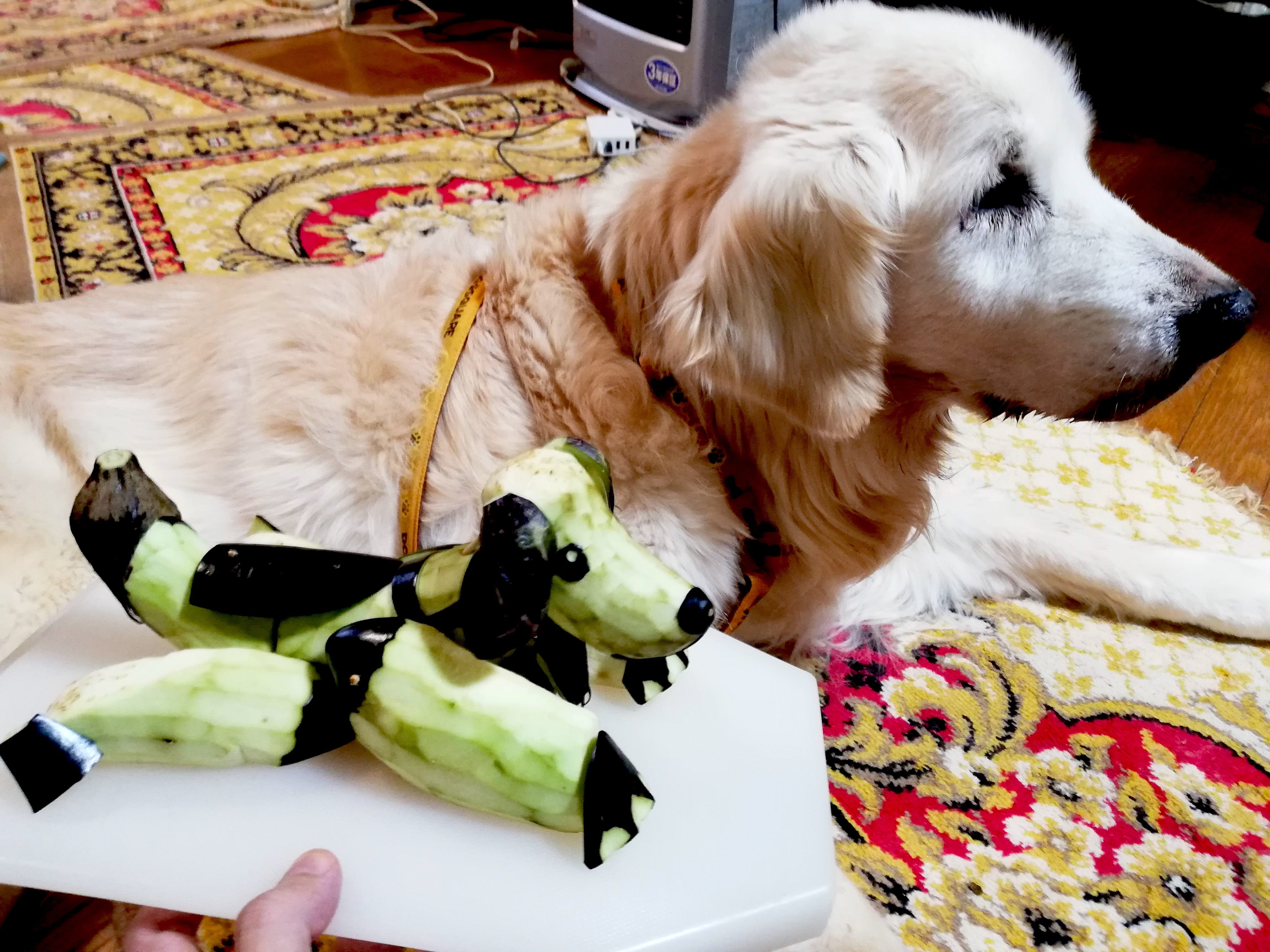 Masashi Isamu's dog-shaped shouryouma, complete with Coron the dog.