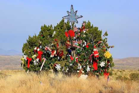 I-17 Mystery Christmas Tree