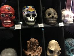 Ornamental skulls display in the Museum