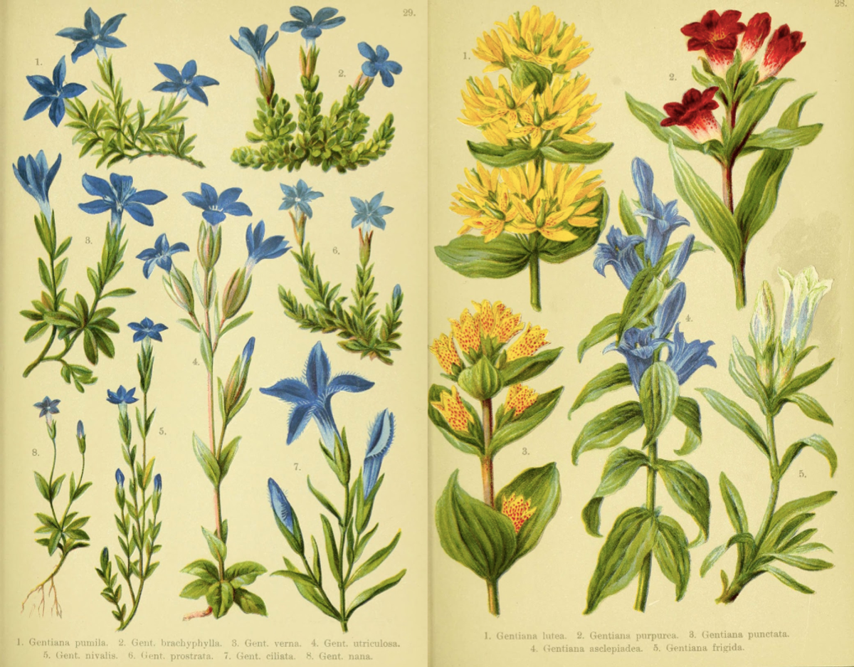 Thousands of species of flora and fauna are now digitized in one place.