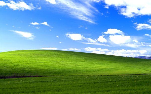 Khung cảnh đồng cỏ xanh lá với nền Windows XP sẽ khiến bạn cảm thấy được sự thanh bình và tĩnh lặng của thiên nhiên. Hãy thưởng thức hình ảnh này để cảm nhận được sự tươi mới và sức sống của mùa xuân.