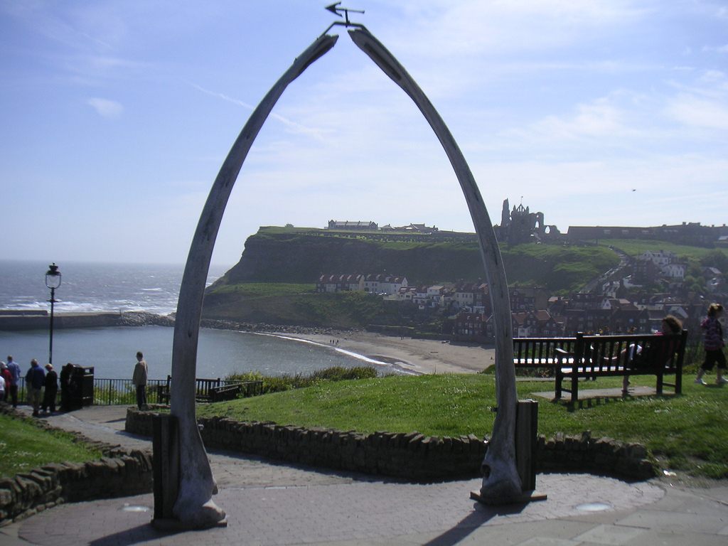 10 Places Where You Can See Whale Bones Outside a Museum - Atlas Obscura