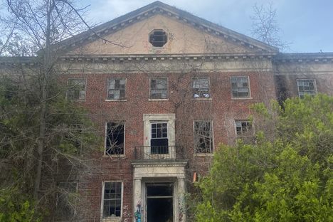 Forest Haven Asylum 