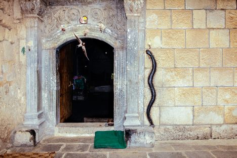 How Rival Gardens of Eden in Iraq Survived ISIS, Dwindling Tourists, And Each Other