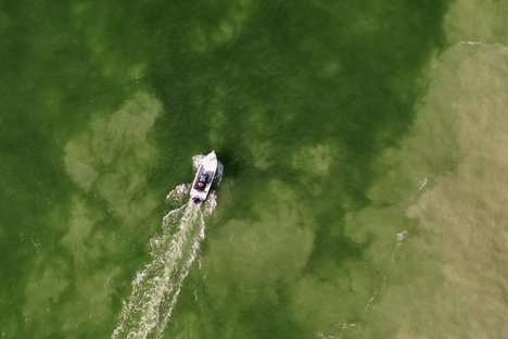 Atlas Obscura Tries: Tarpon Fishing