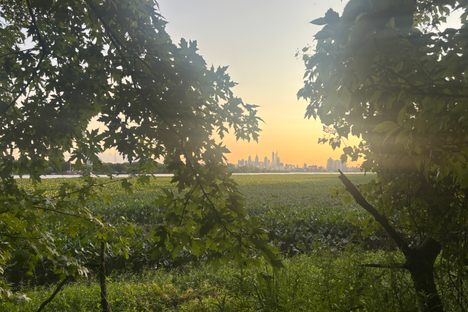 Philadelphia in the distance