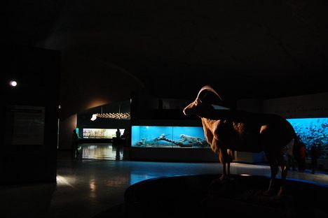 One of the galleries with a rather satanic looking goat in the foreground 