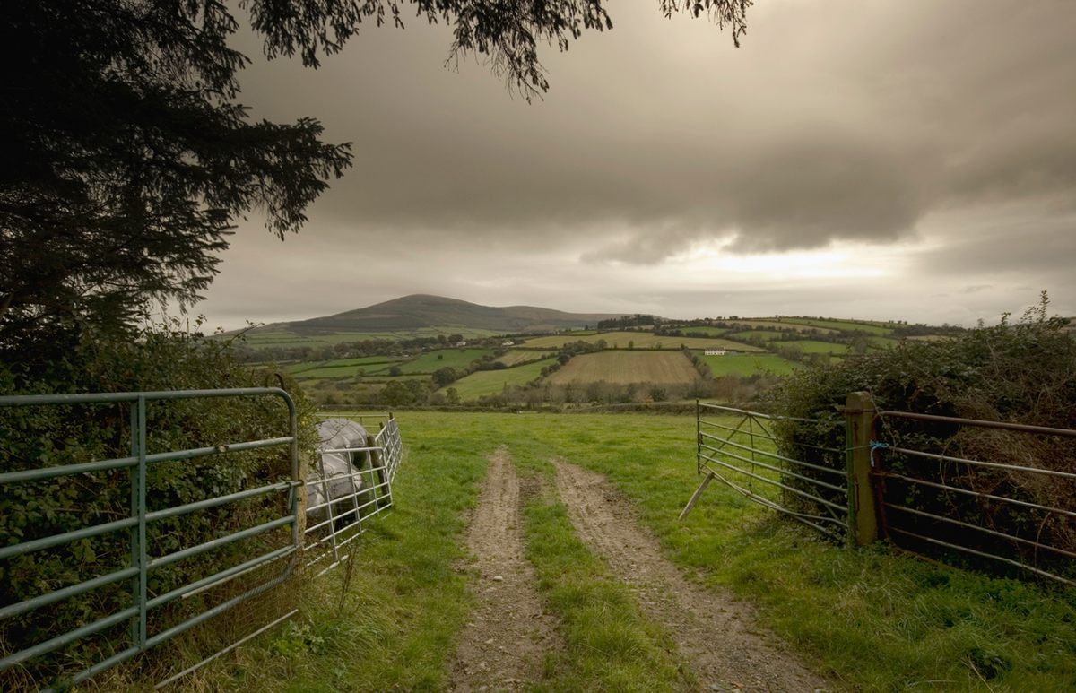 A road through a gate in County Kilkenny, Ireland.
