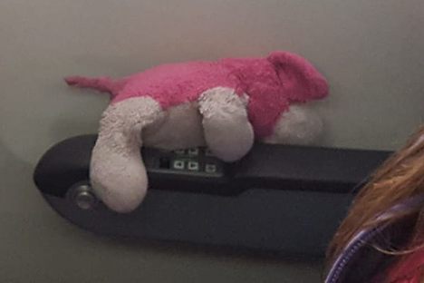 Lost: A Beloved Stuffed Animal Named 'Sleepy Dog'