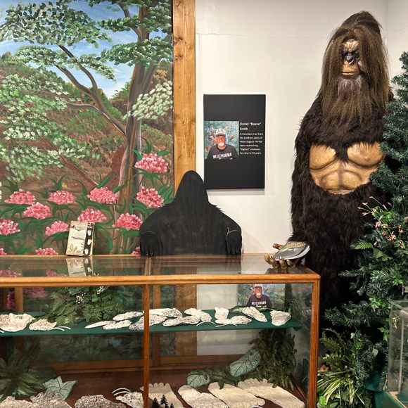 The West Virginia Bigfoot Museum