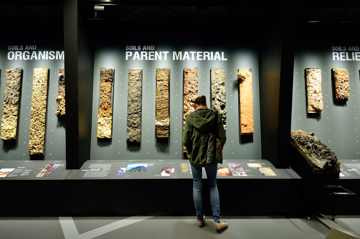 Less than a tenth of the World Soil Museum's five-foot-long monoliths are currently on display.