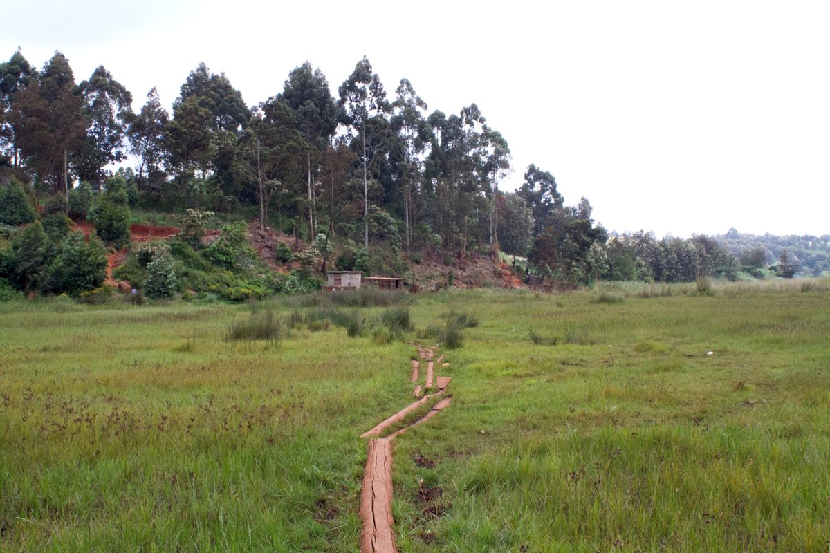 A clear path to recovery, thanks to the Friends of Ondiri.