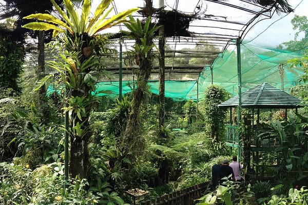 Kuala Lumpur Butterfly Park