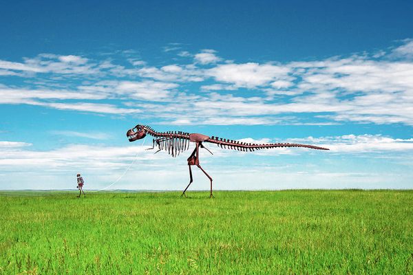 Skeleton Man Walking Skeleton Dinosaur.