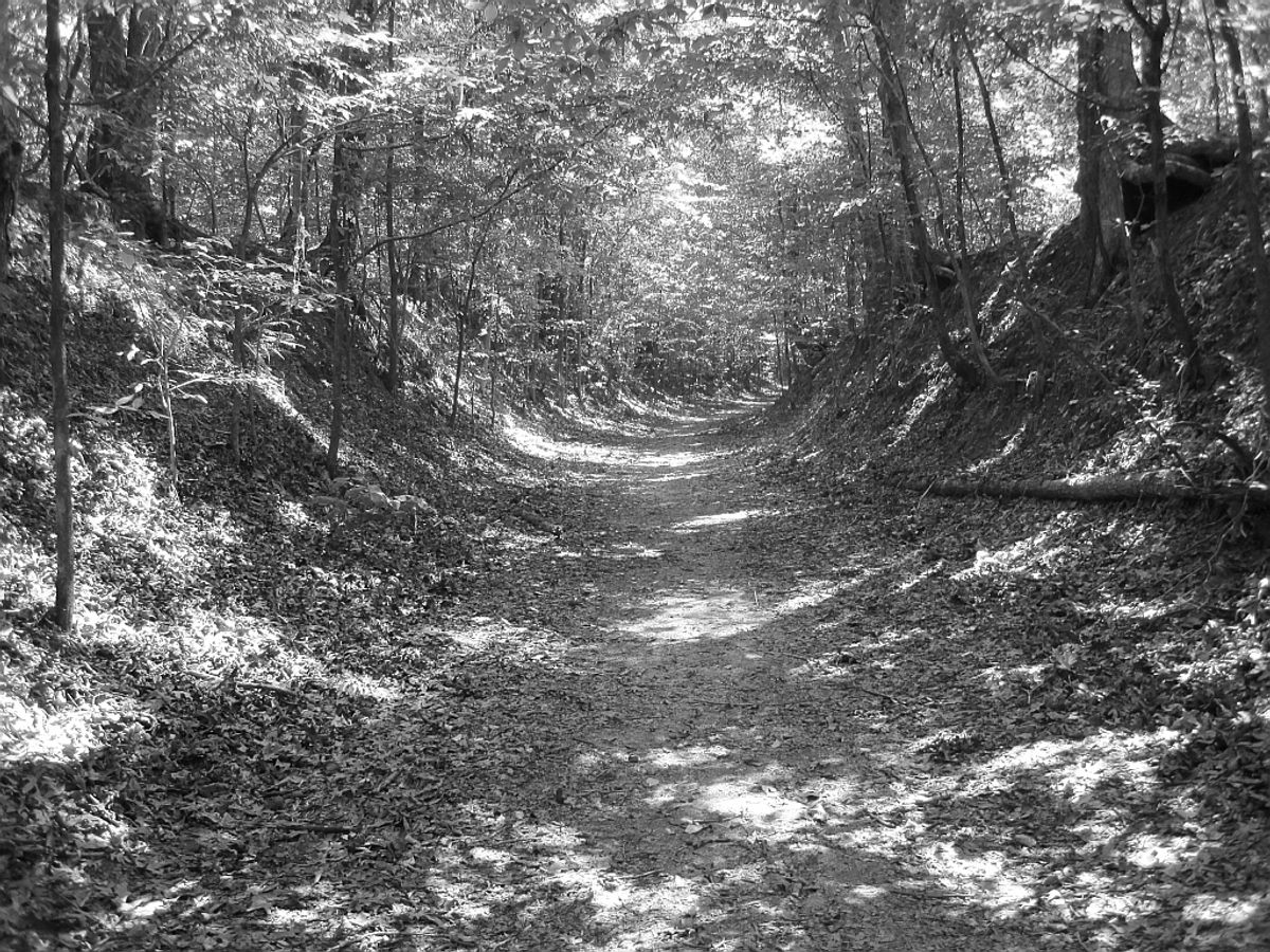 In the Village Creek State Park in Arkansas, a portion of the Trail of Tears remains.