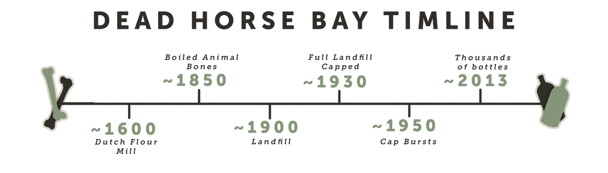 Dead Horse Bay Timeline
