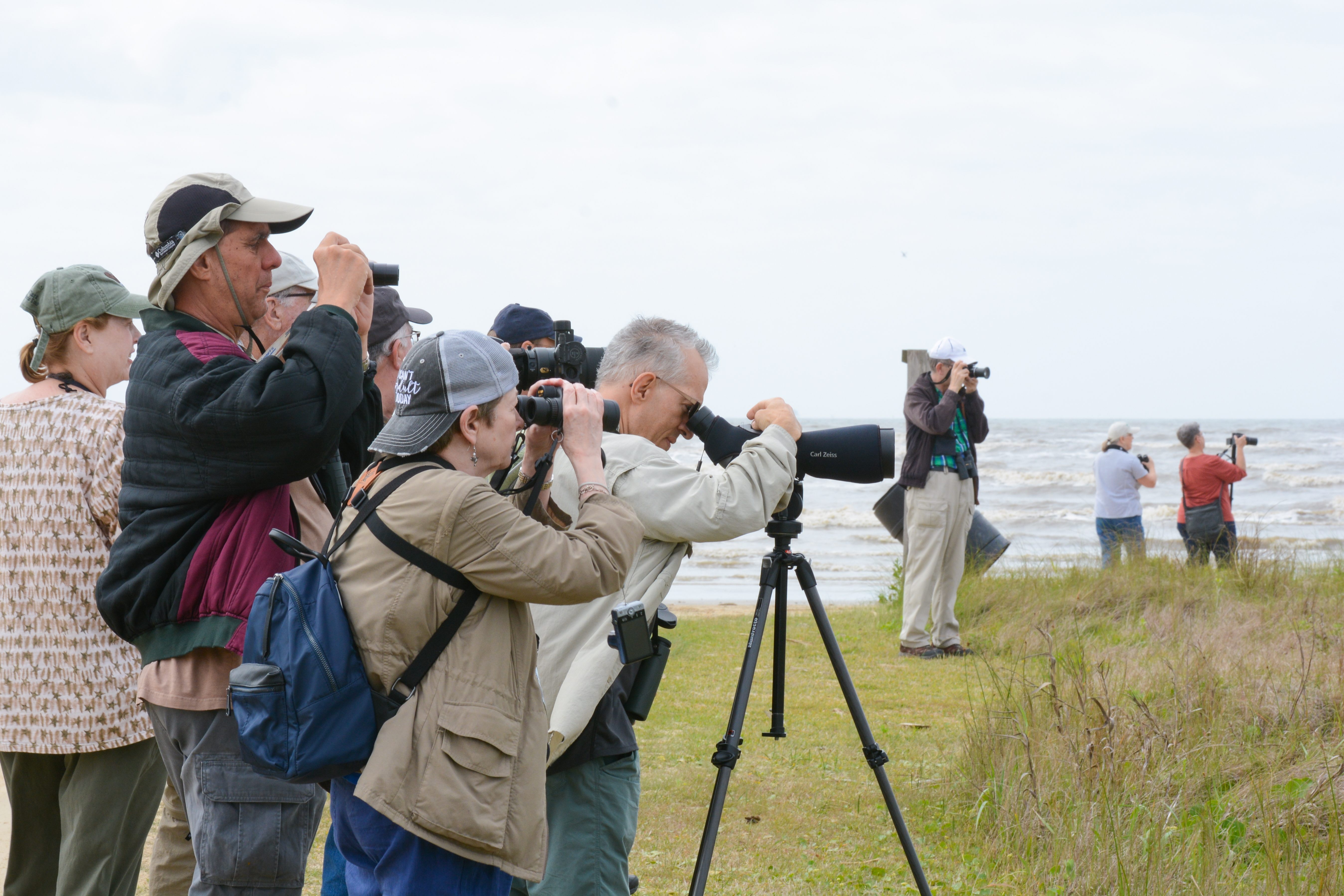 Birders in action at the park.