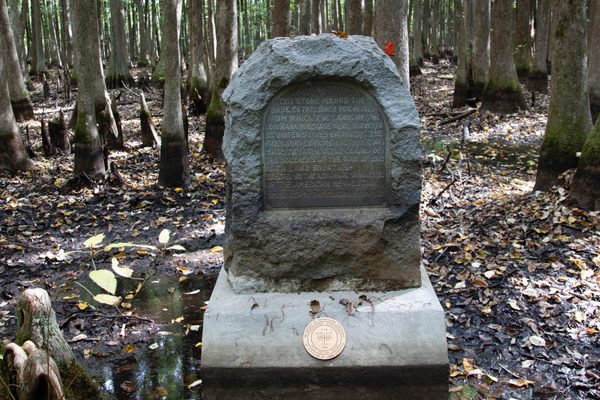 The survey marker.
