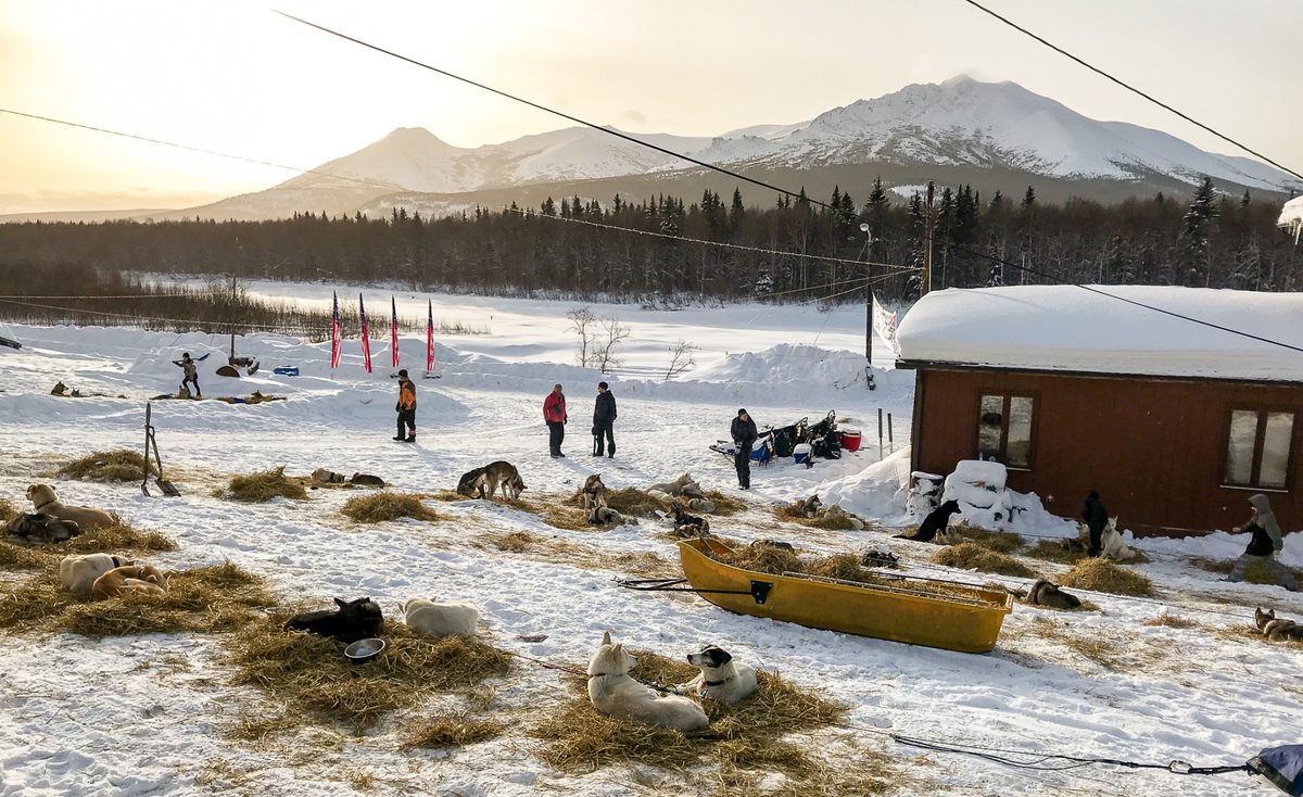 Sun shines on dog teams resting in Takotna in 2018.