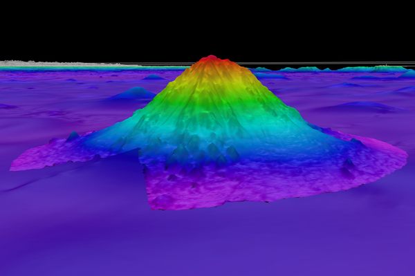 A bathymetric map shows the Solito Seamount off the coast of Chile. Scientists on a recent expedition found isolated seamounts like these to hold distinct ecosystems, including thriving deep-sea coral reefs and sponge gardens. 