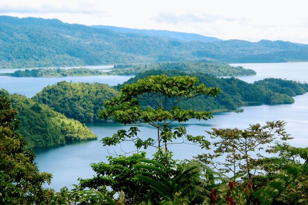 Peaceful Lake Kutubu.