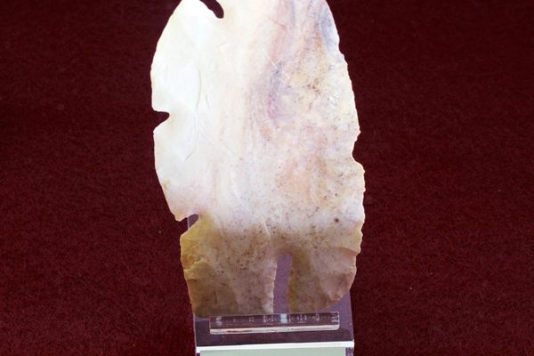 Artifacts recently unearthed in Florence, TX offer new insights into Paleoindian history. 