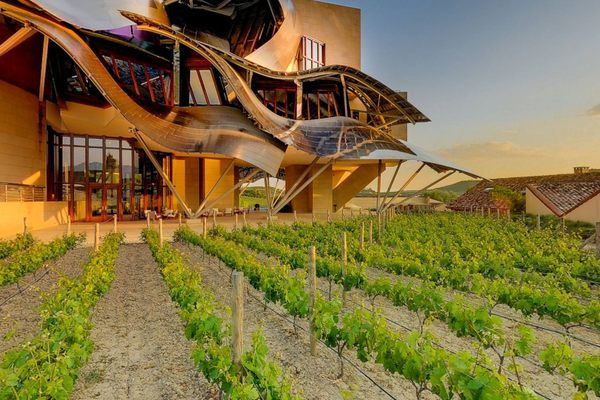 The Marques de Riscal grows some of its own ingredients.