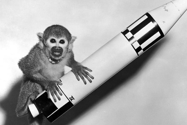 The squirrel monkey known as Miss Baker helped usher in the wonders of space exploration—and is the topic of one of our favorite classic podcast episodes.