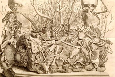 Anatomical treasures were built often built on human tissue parts.