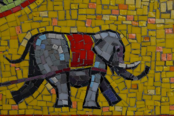 Detail of elephant 