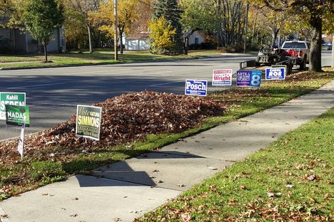 The Weird Logic Behind Yard Signs in Politics