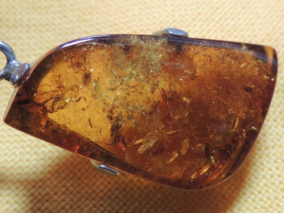 A different piece of amber from elsewhere shows how much can get caught and preserved in the resin.