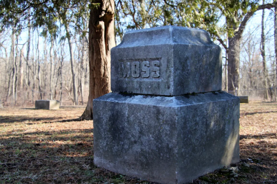 The cemetery is a roughly trapezoid-shaped area surrounded by the Rubio Woods Forest Preserve.