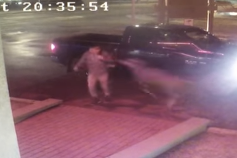Deer, Violence, and Videotape