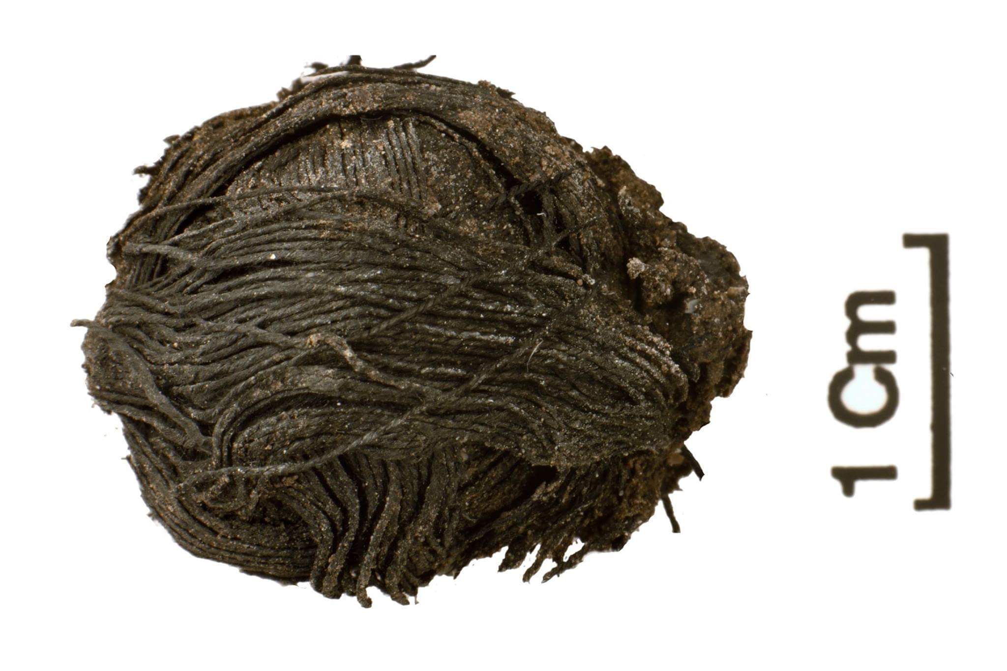 Found: A 3,000-Year-Old Ball of Yarn