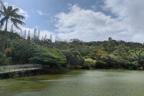 Small lake in the park
