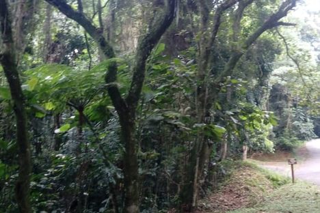 General view of path and bench under trees
