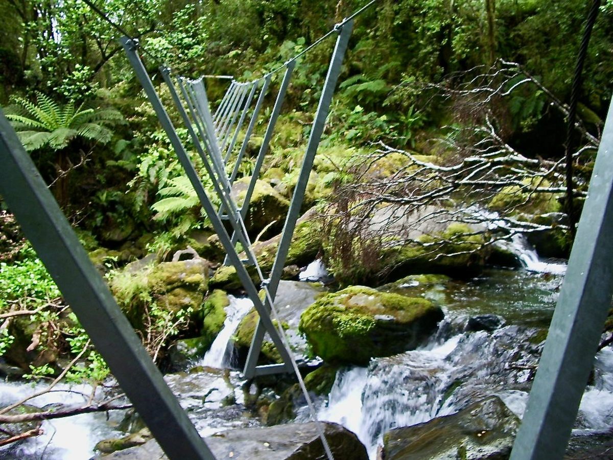 One of the Hollyford Track's three-wire bridges. These infamous crossings are common on New Zealand's more remote trails.